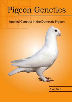 Pigeon-Genetics-web-Titelbl.jpg